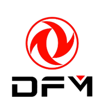 DFM
