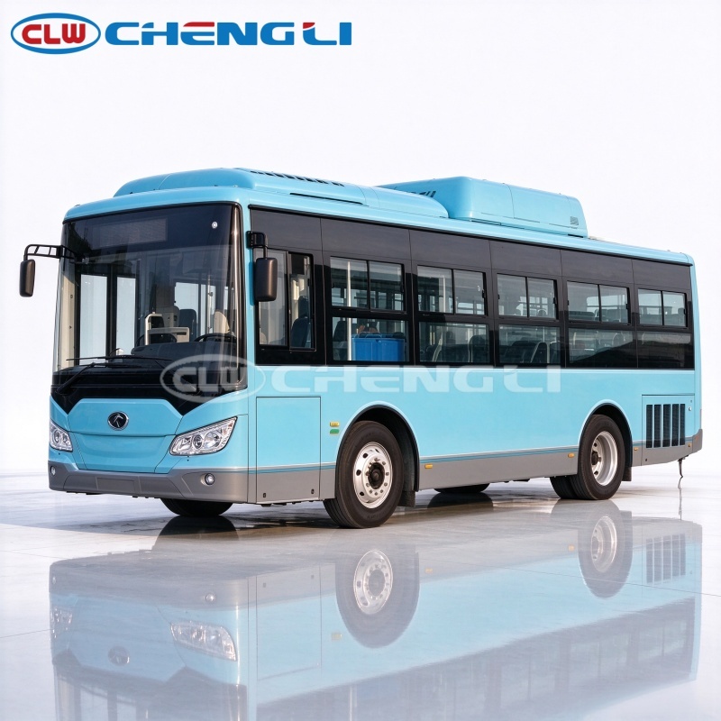 Dali Natural Gas Coach