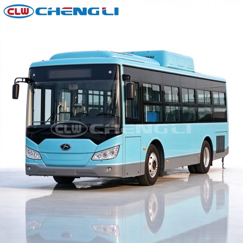 Dali Natural Gas Coach