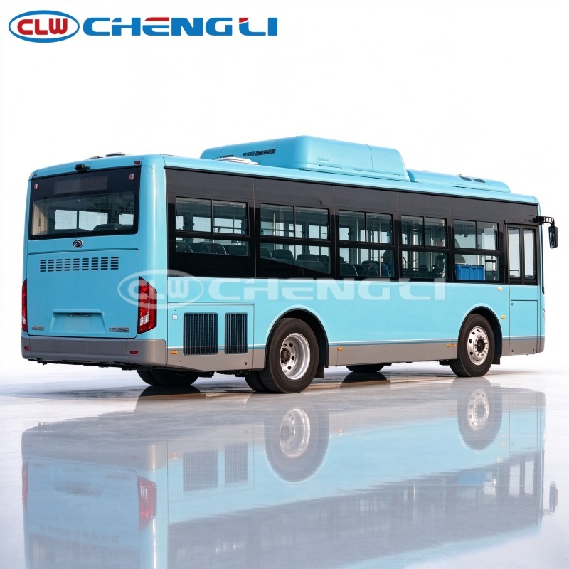 Dali Natural Gas Coach