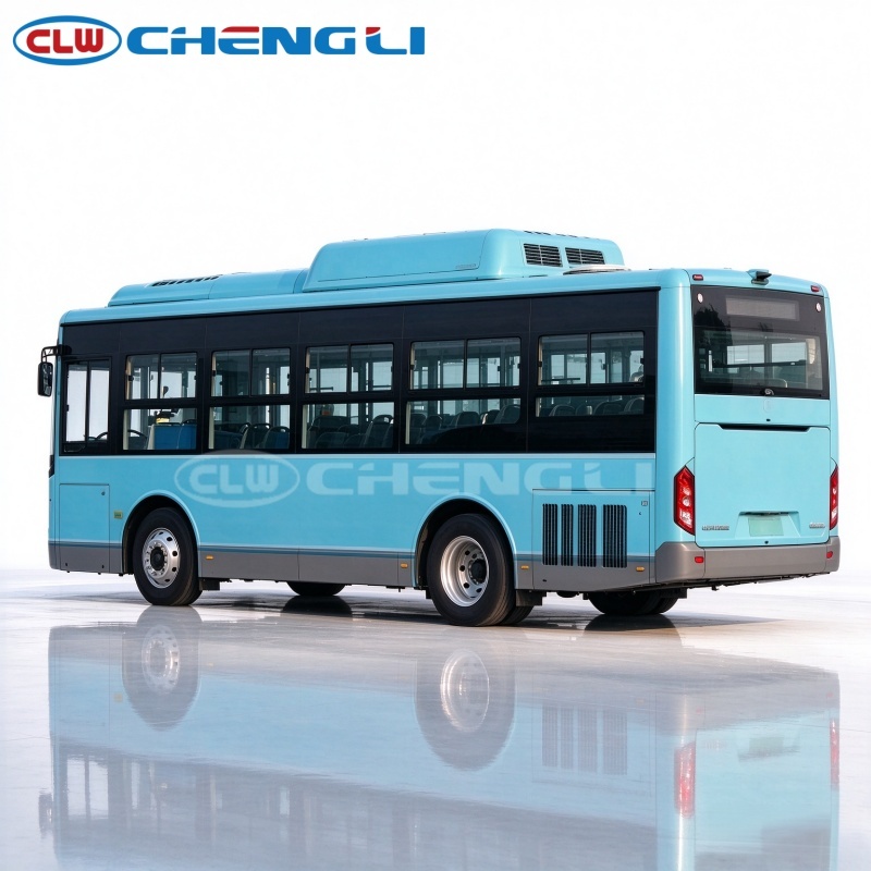 Dali Natural Gas Coach