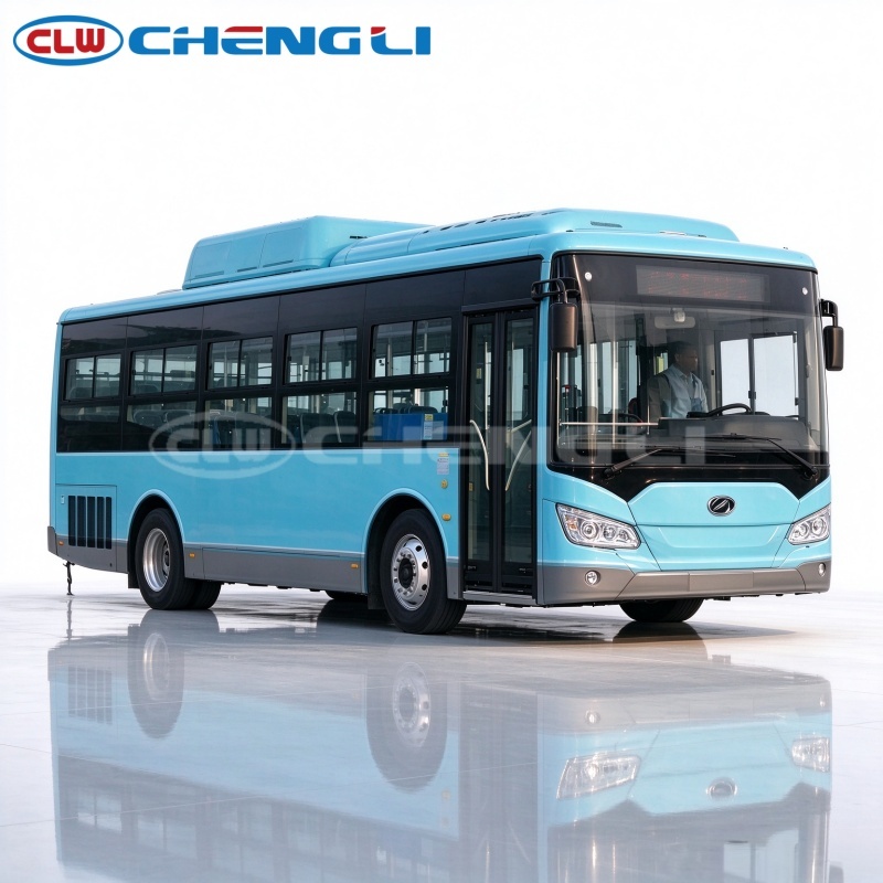 Dali Natural Gas Coach